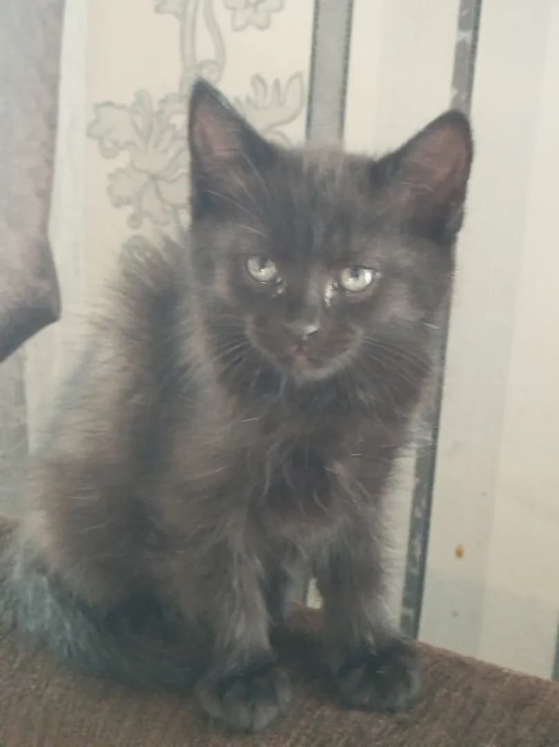 carousel-image-mobile-3