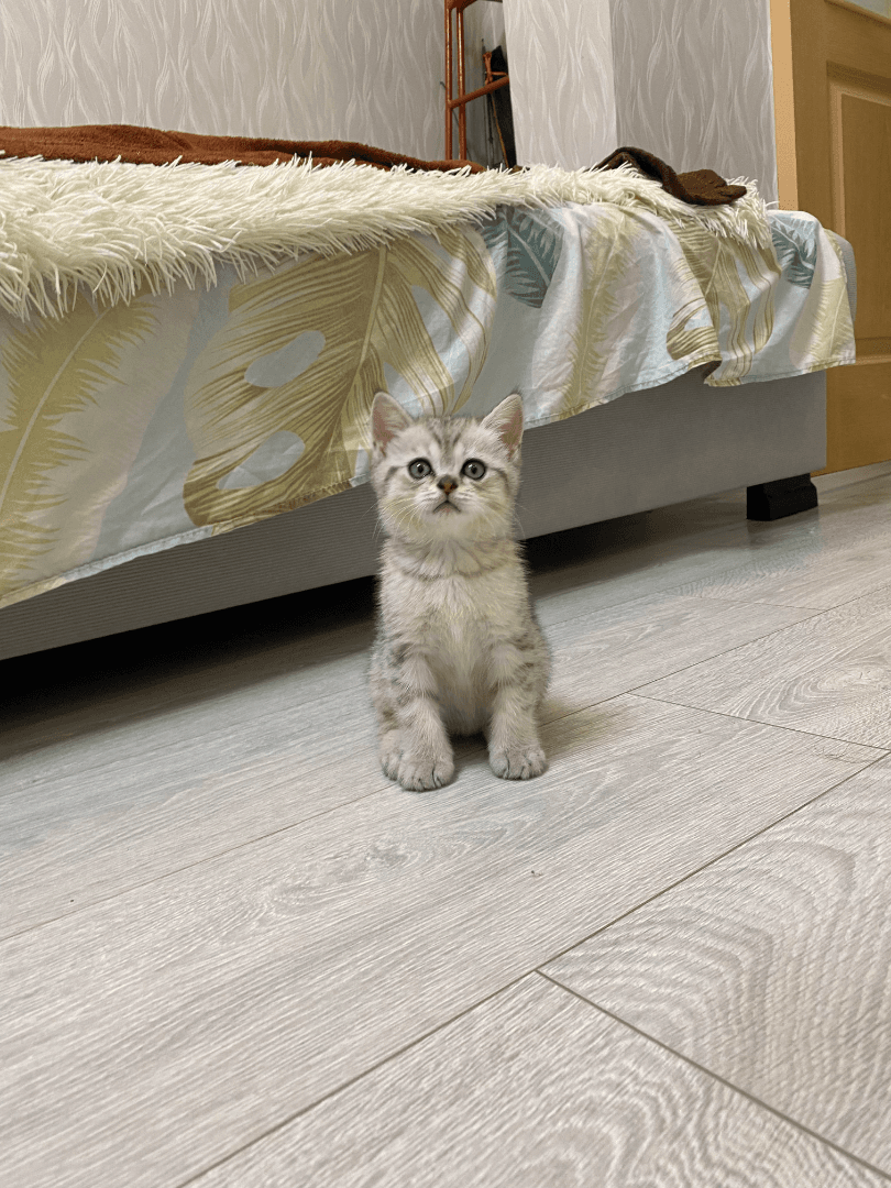 carousel-image-mobile-1