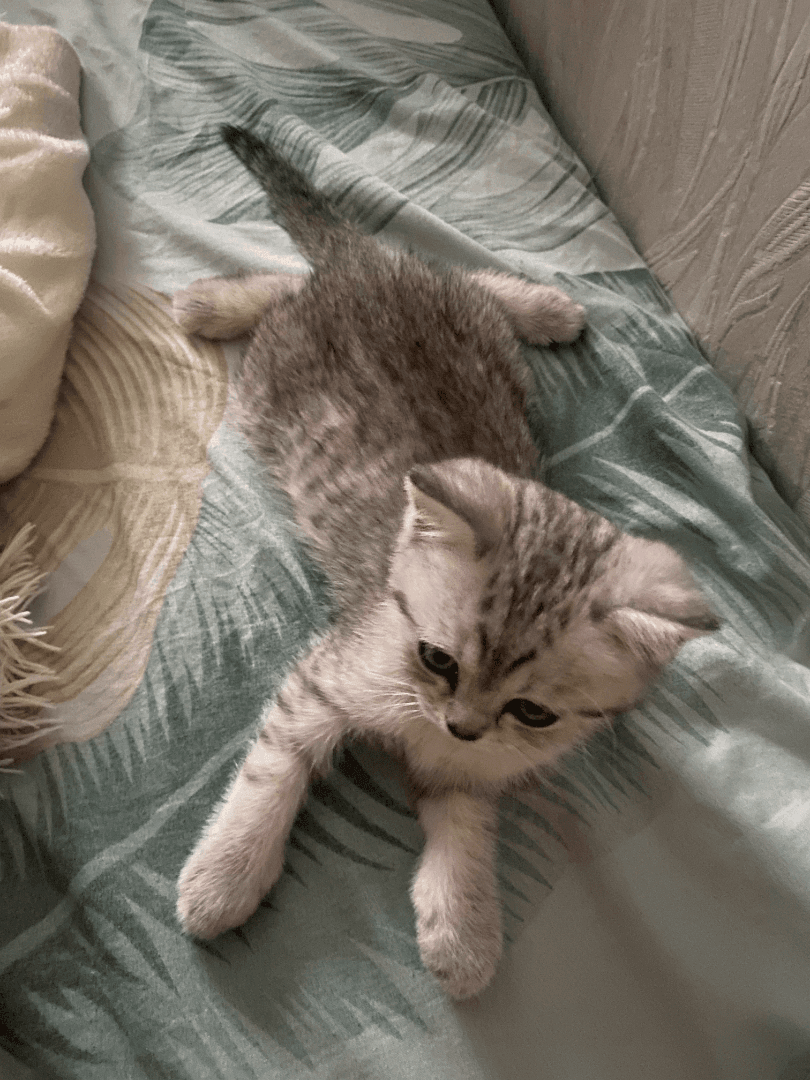 carousel-image-mobile-2