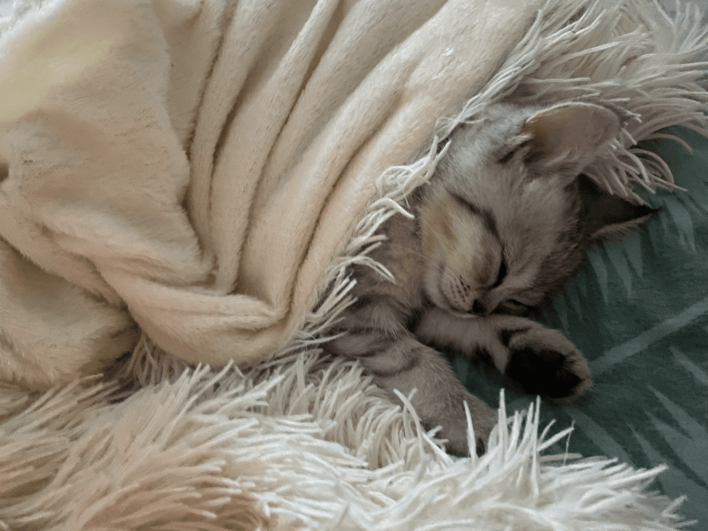 carousel-image-mobile-3