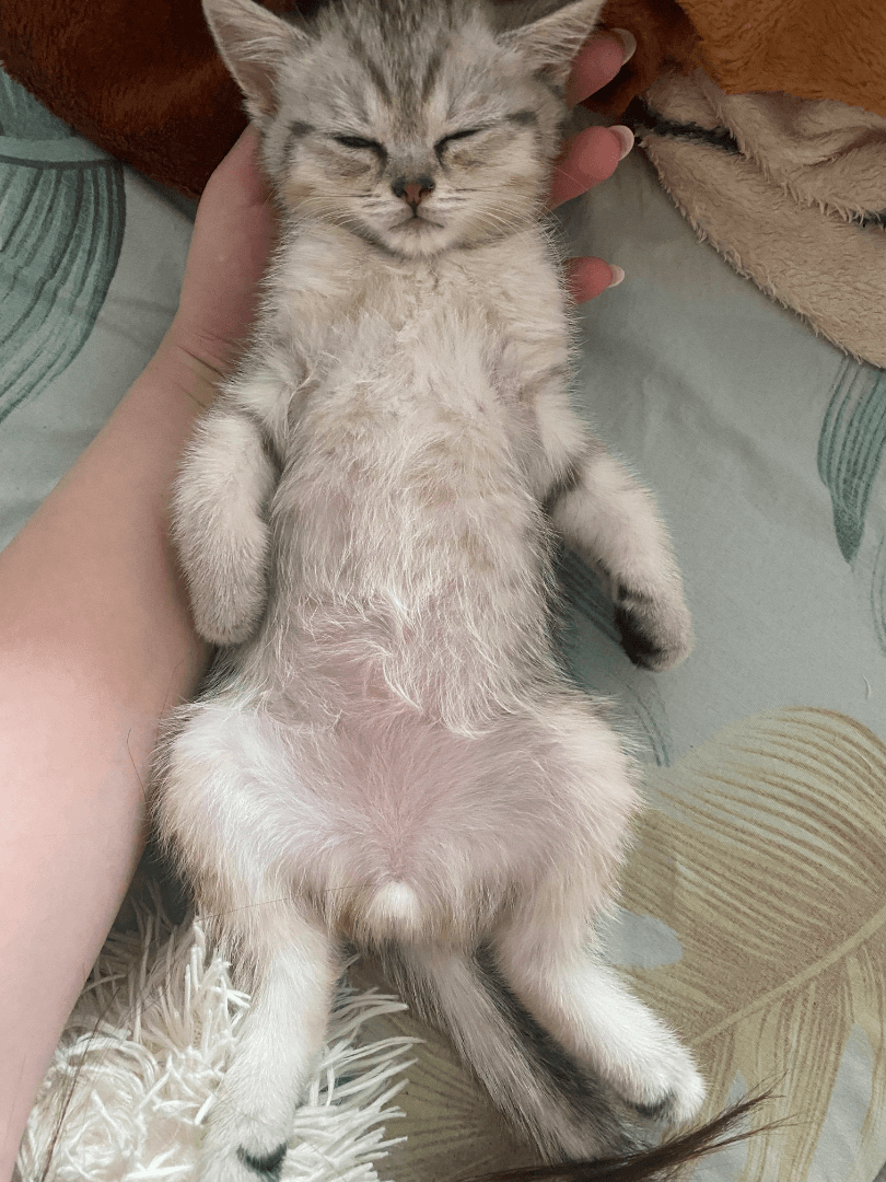 carousel-image-mobile-4