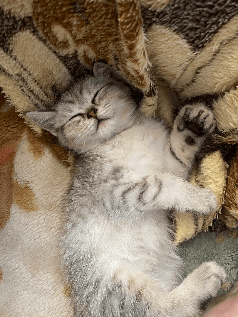 carousel-image-mobile-5