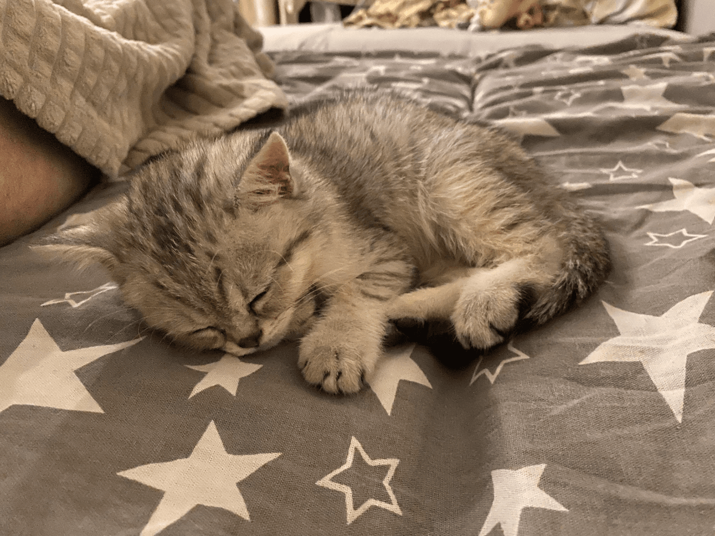 carousel-image-mobile-6