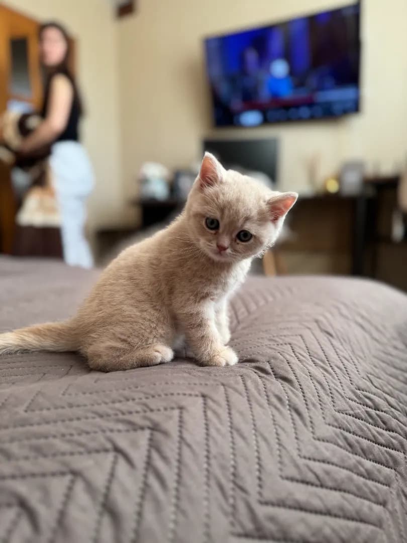 carousel-image-mobile-3