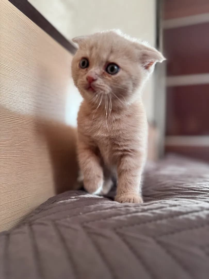 carousel-image-mobile-4