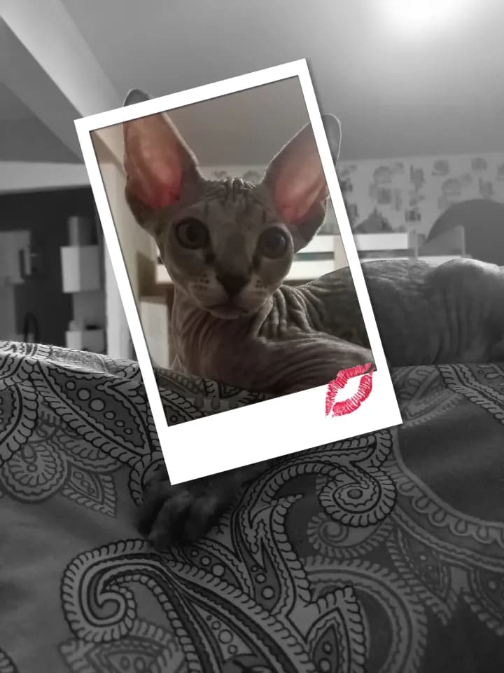 carousel-image-mobile-1