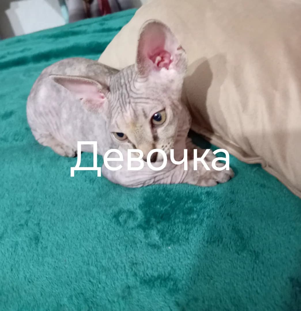 carousel-image-mobile-2