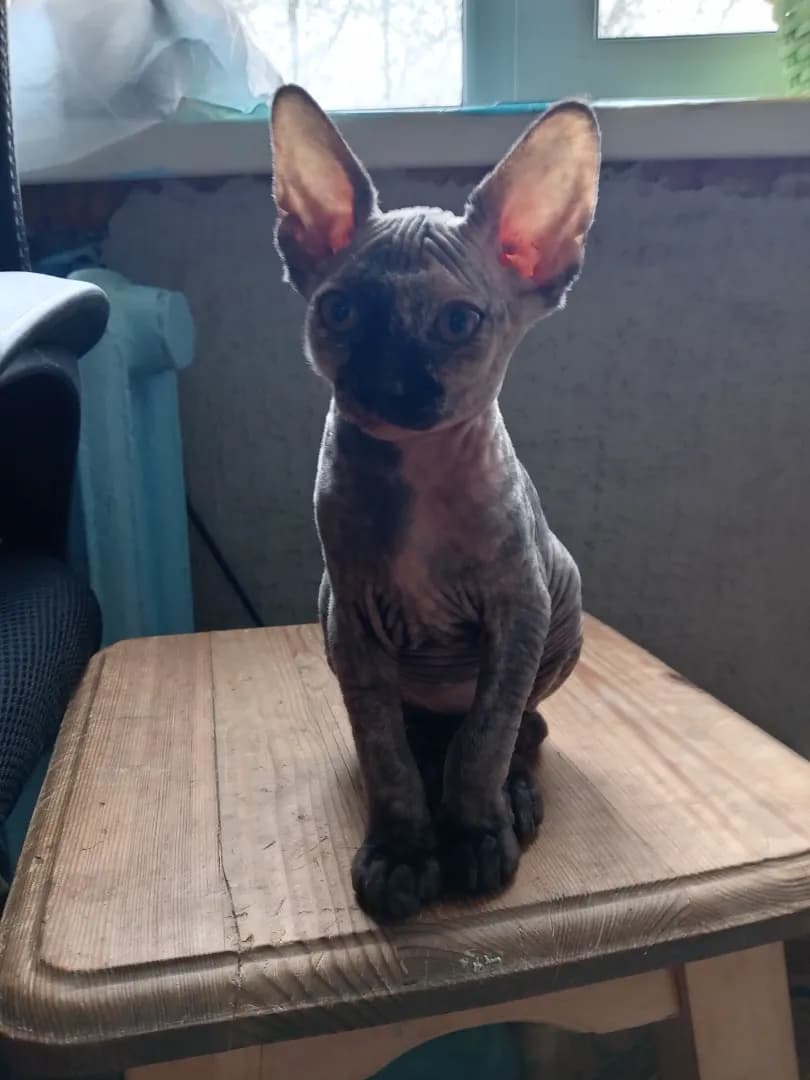 carousel-image-mobile-3