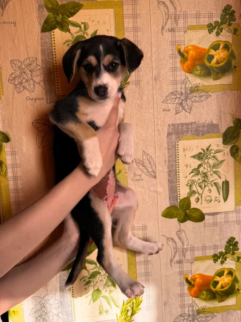 carousel-image-mobile-1