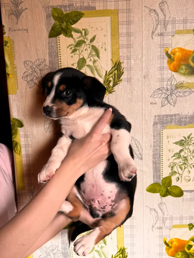 carousel-image-mobile-2