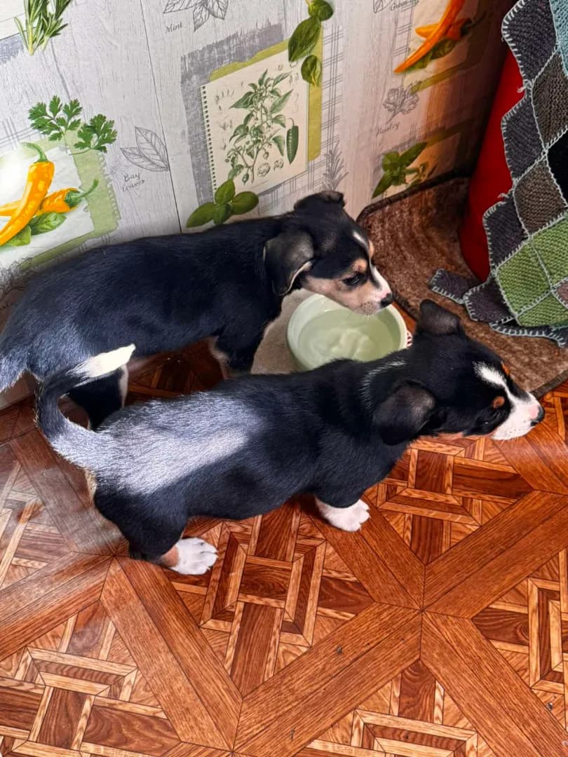 carousel-image-mobile-3