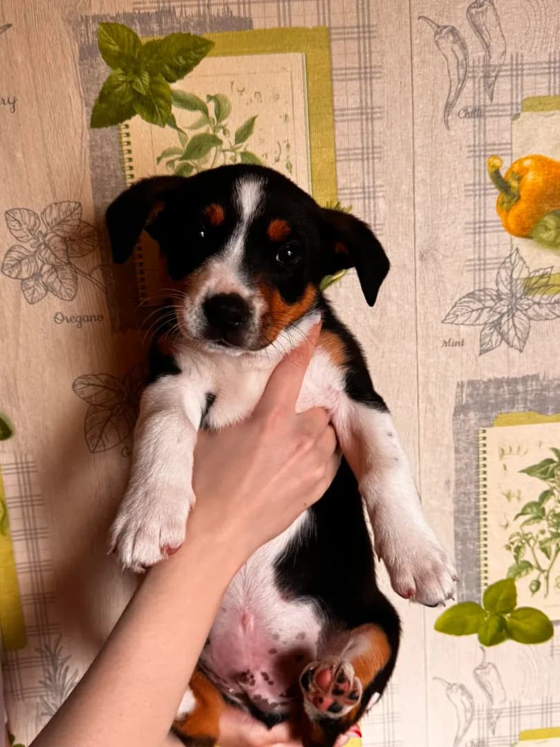 carousel-image-mobile-4