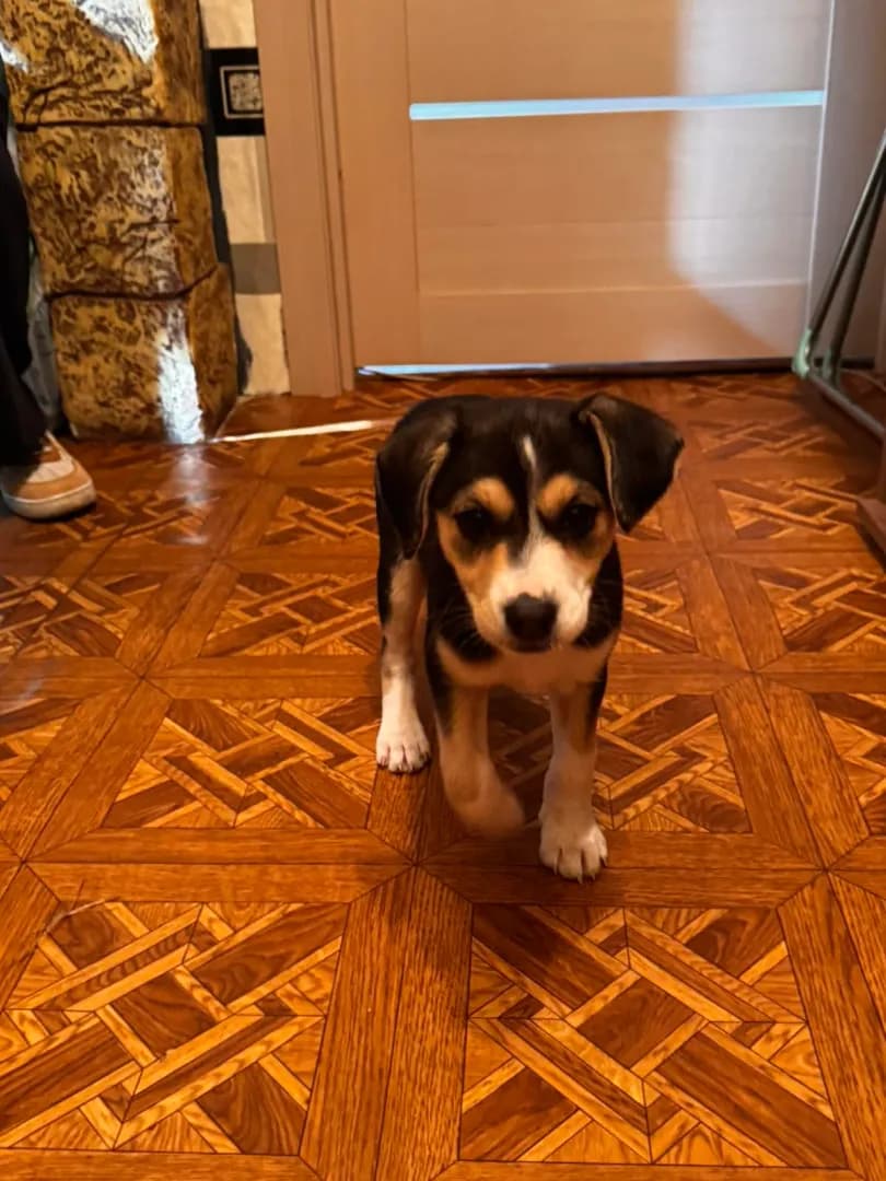 carousel-image-mobile-5