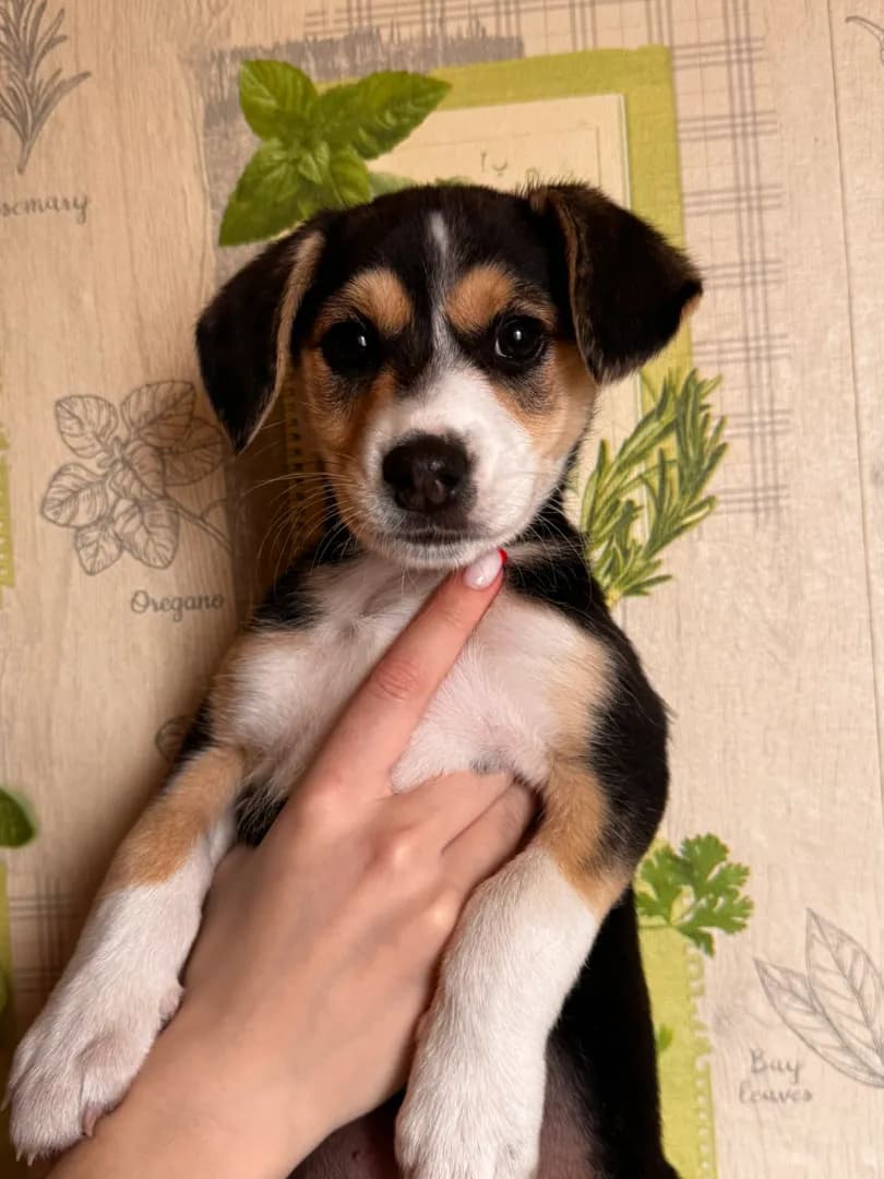 carousel-image-mobile-6