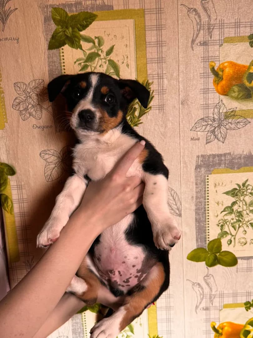 carousel-image-mobile-7