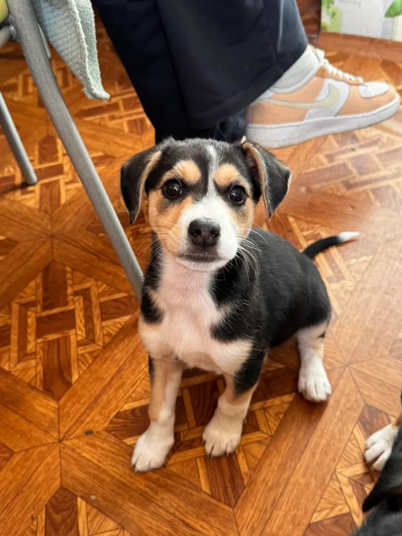 carousel-image-mobile-8