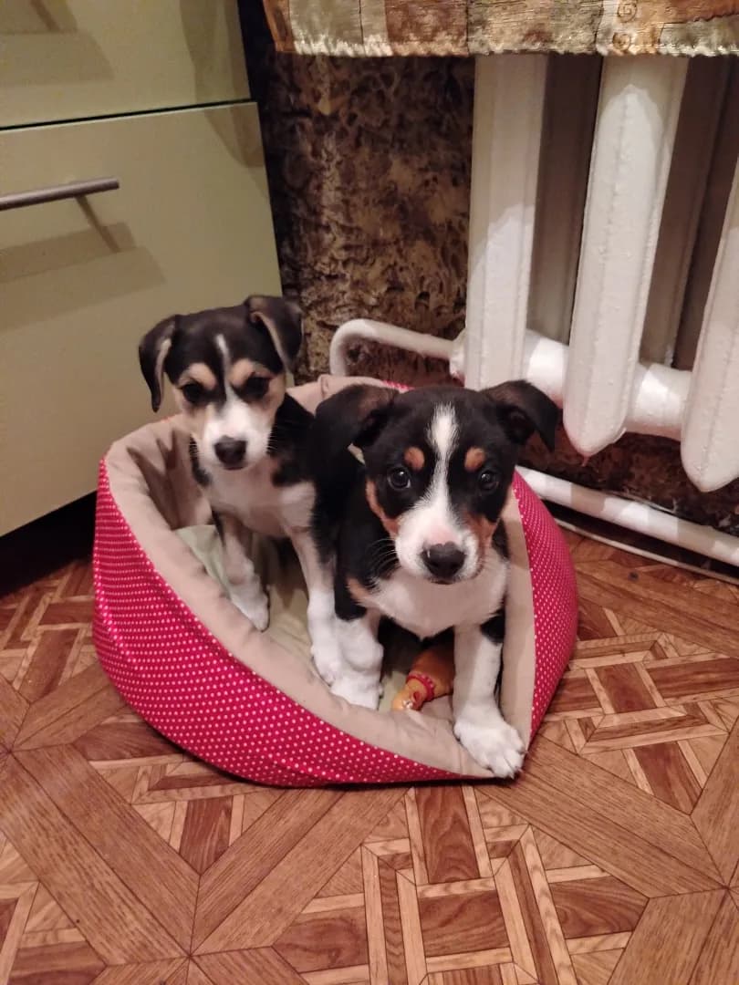 carousel-image-mobile-9