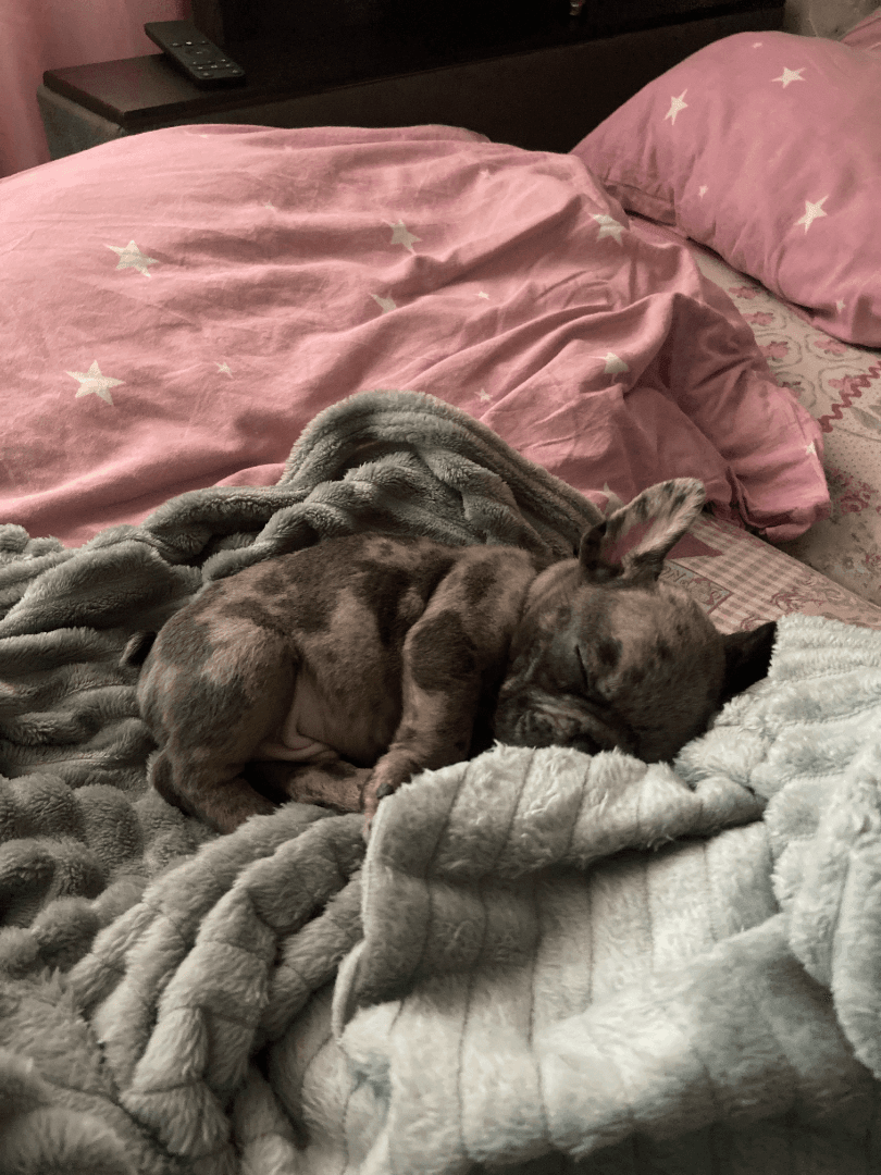 carousel-image-mobile-1