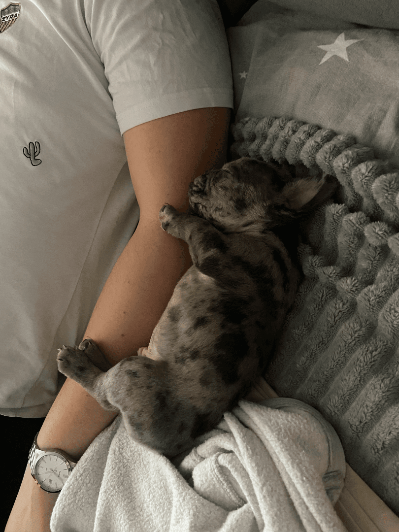 carousel-image-mobile-2