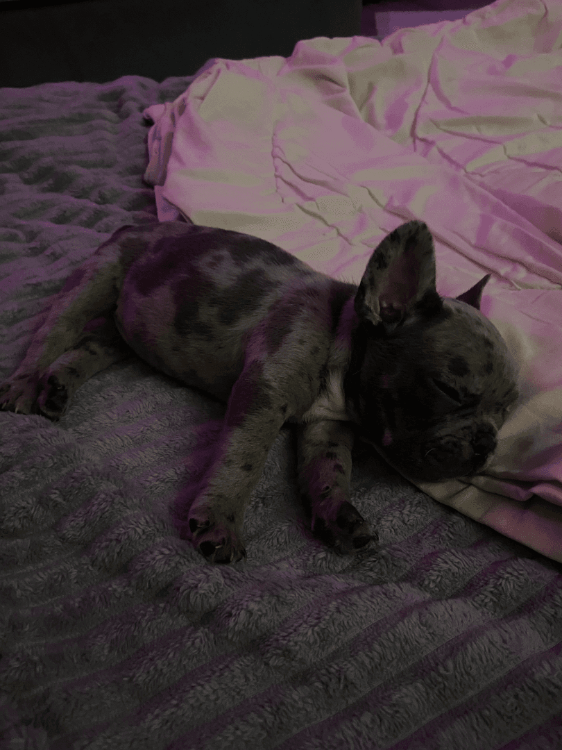 carousel-image-mobile-3