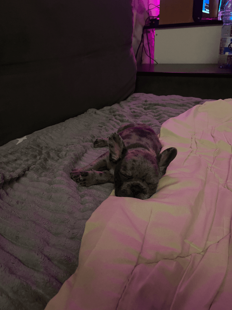 carousel-image-mobile-4