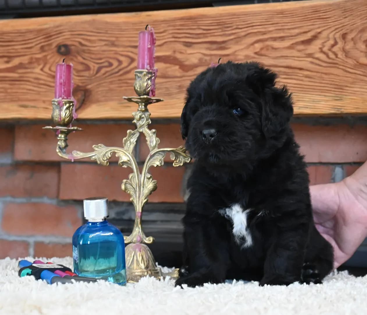 carousel-image-mobile-1