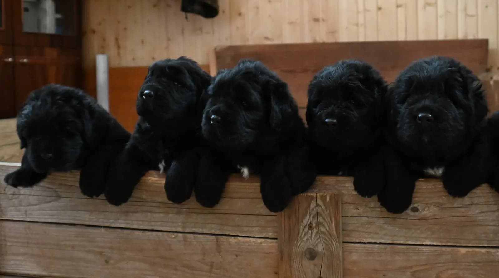 carousel-image-mobile-2