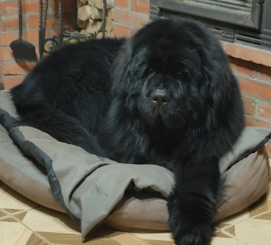 carousel-image-mobile-3