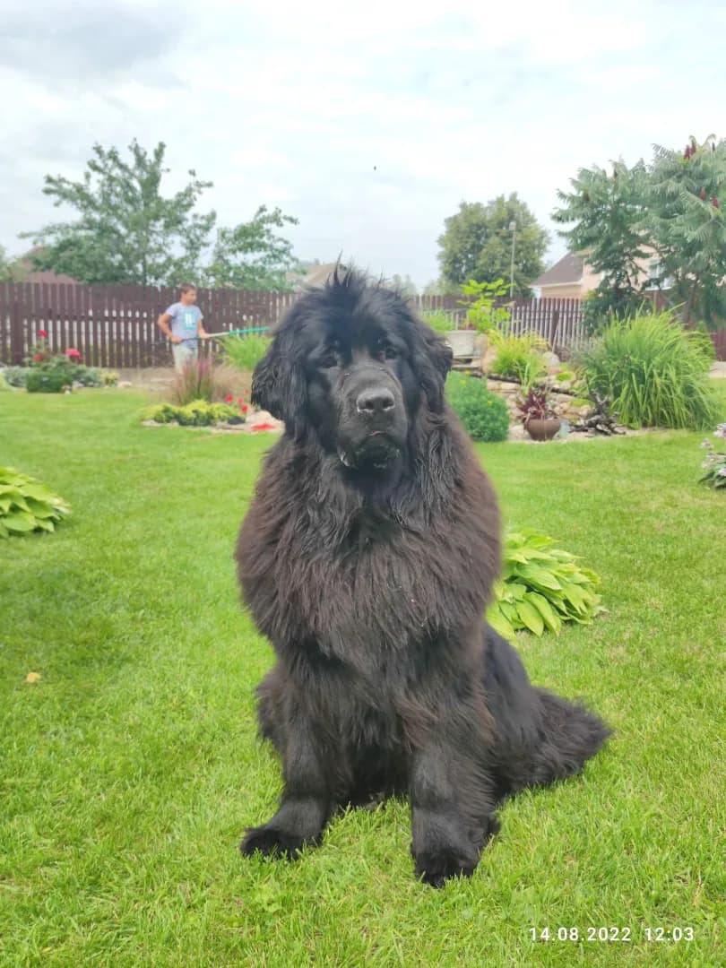 carousel-image-mobile-4