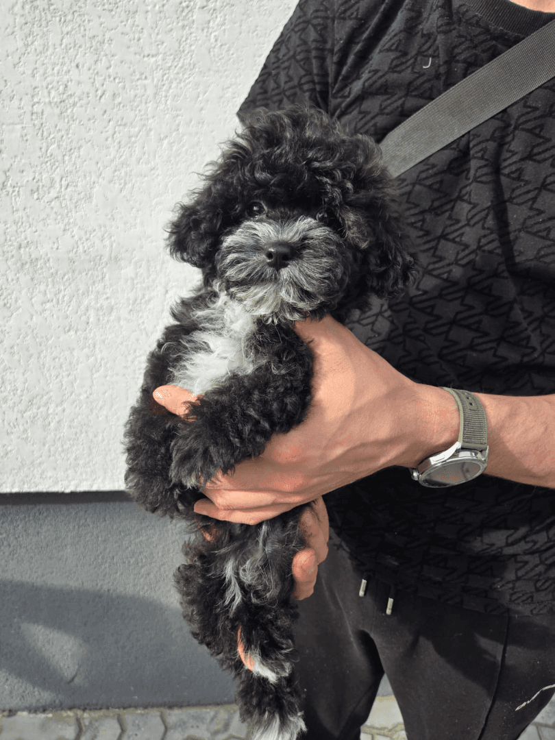 carousel-image-mobile-1