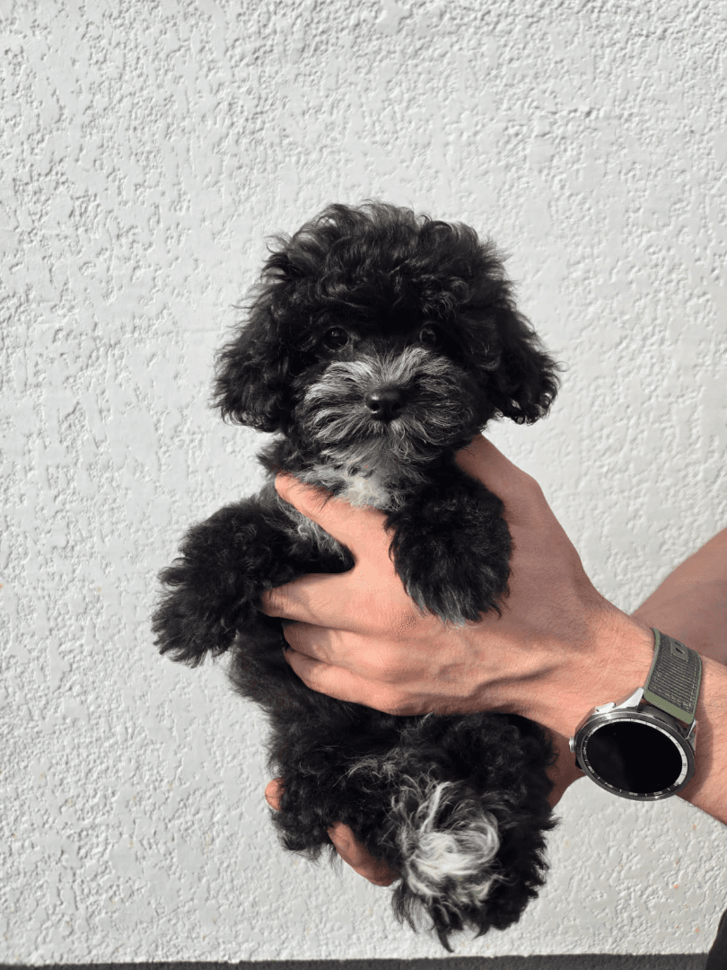 carousel-image-mobile-3