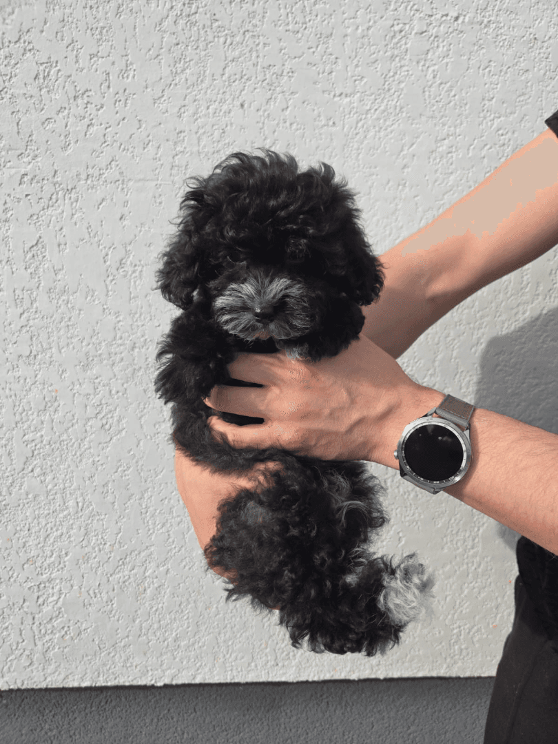 carousel-image-mobile-5