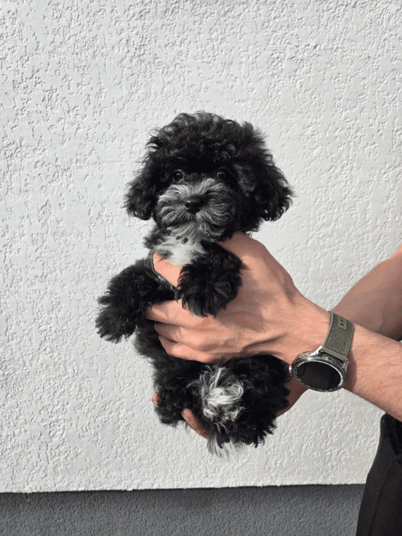 carousel-image-mobile-6