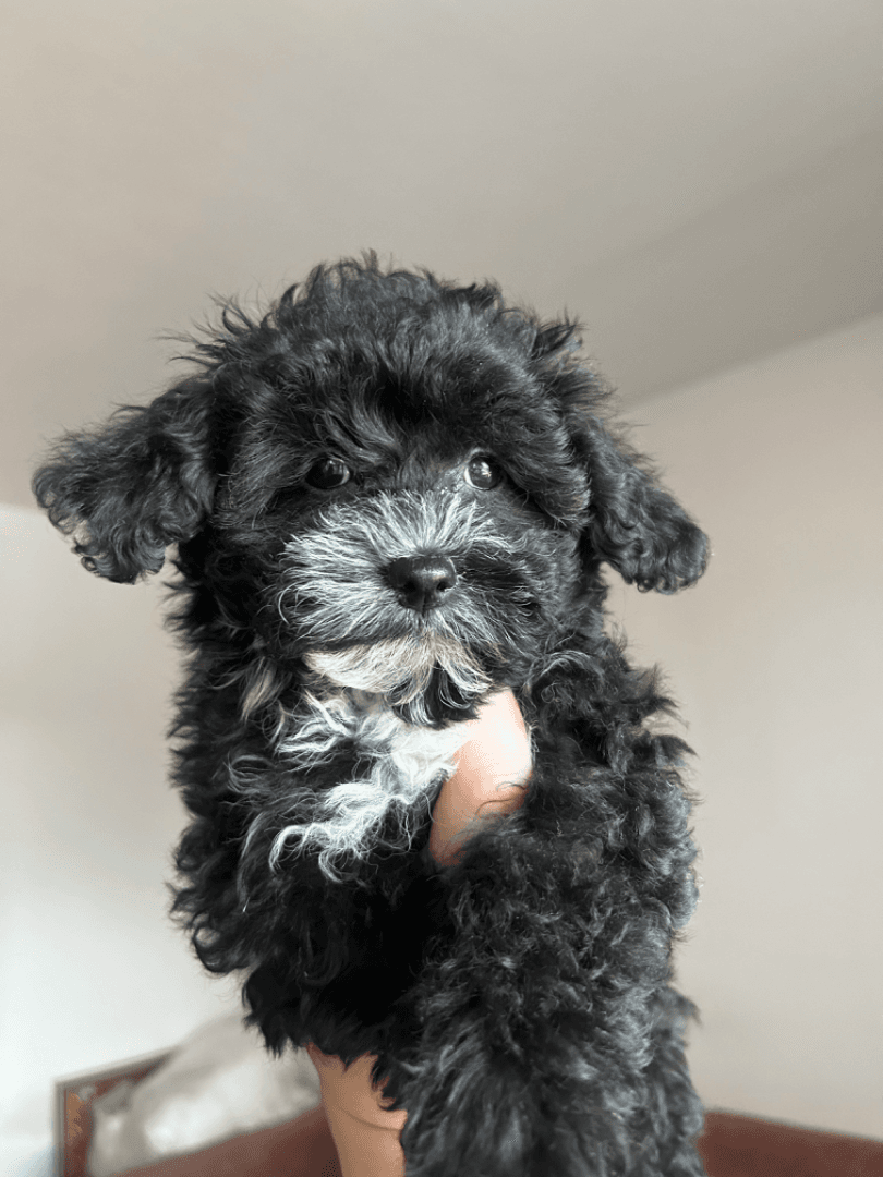 carousel-image-mobile-7