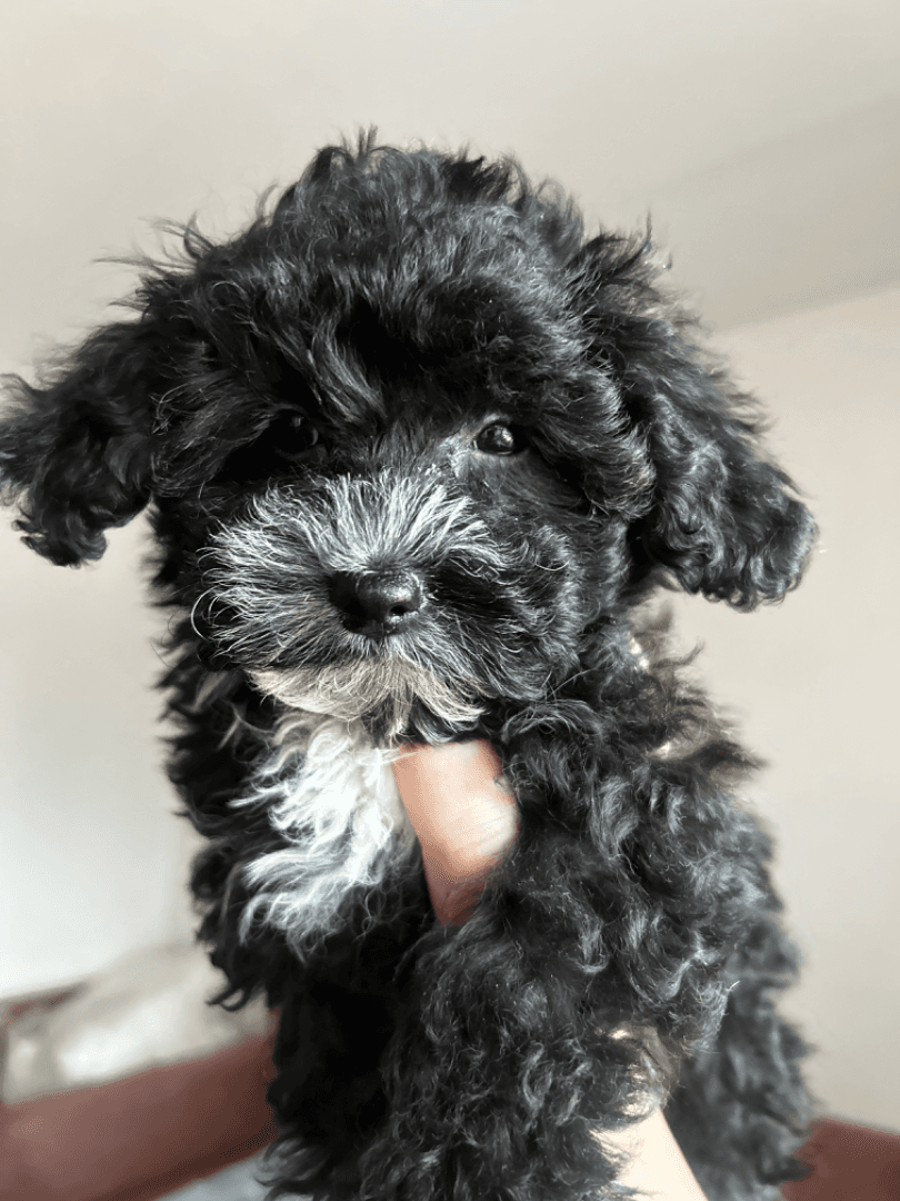 carousel-image-mobile-8