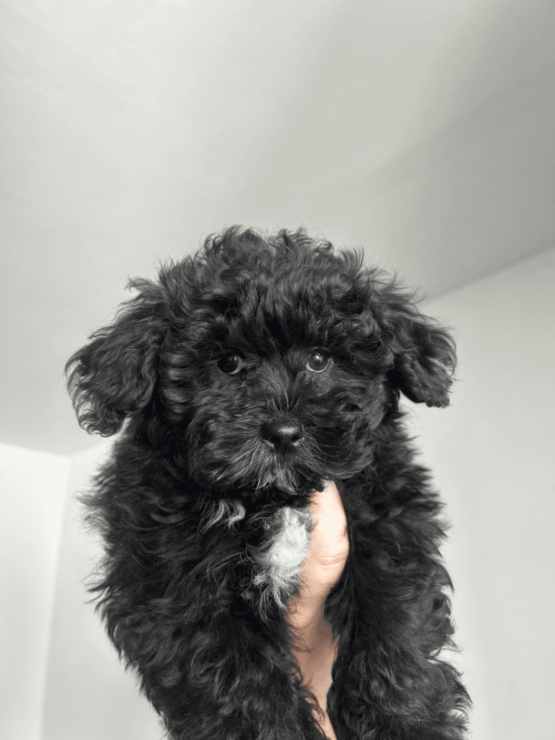 carousel-image-mobile-1