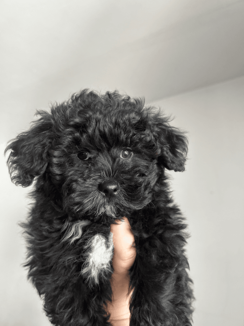 carousel-image-mobile-2