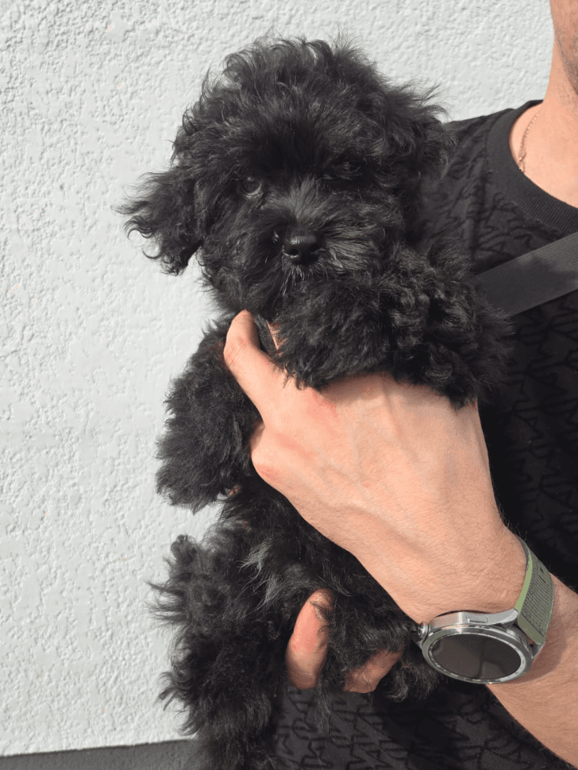 carousel-image-mobile-3