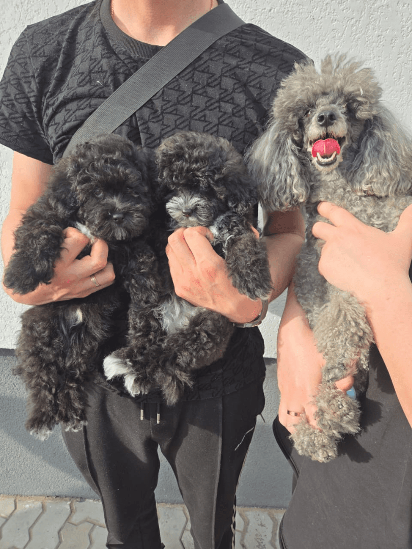 carousel-image-mobile-4