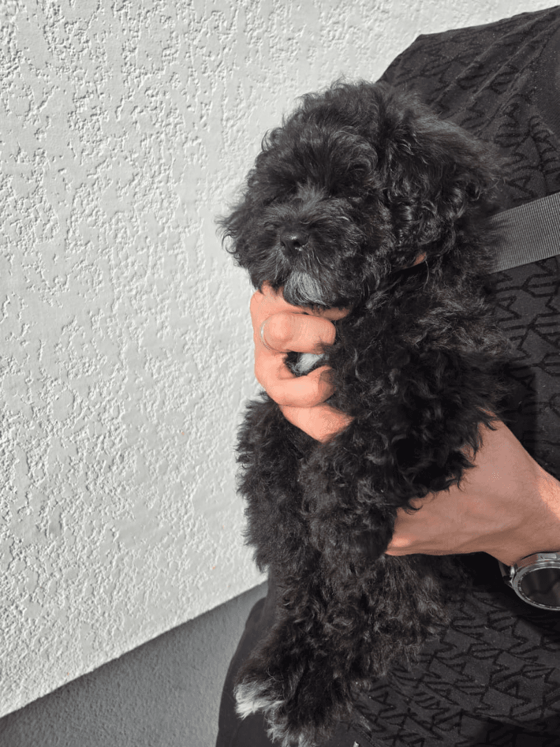 carousel-image-mobile-5