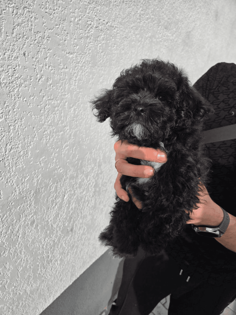 carousel-image-mobile-6