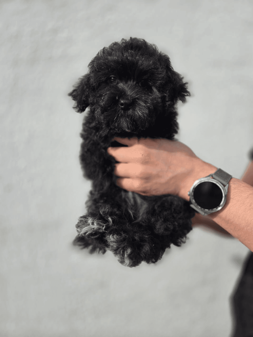 carousel-image-mobile-7