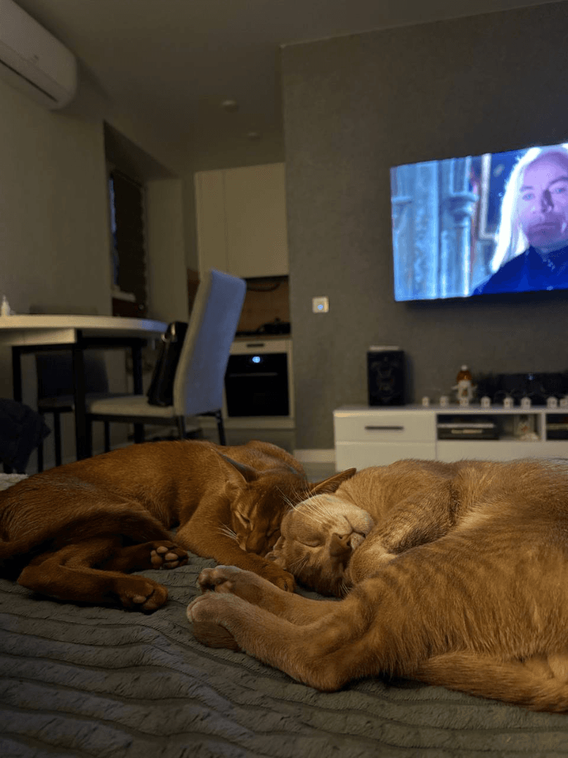 carousel-image-mobile-6