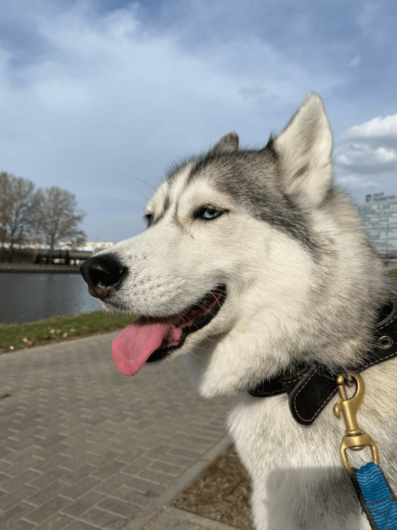 carousel-image-mobile-2