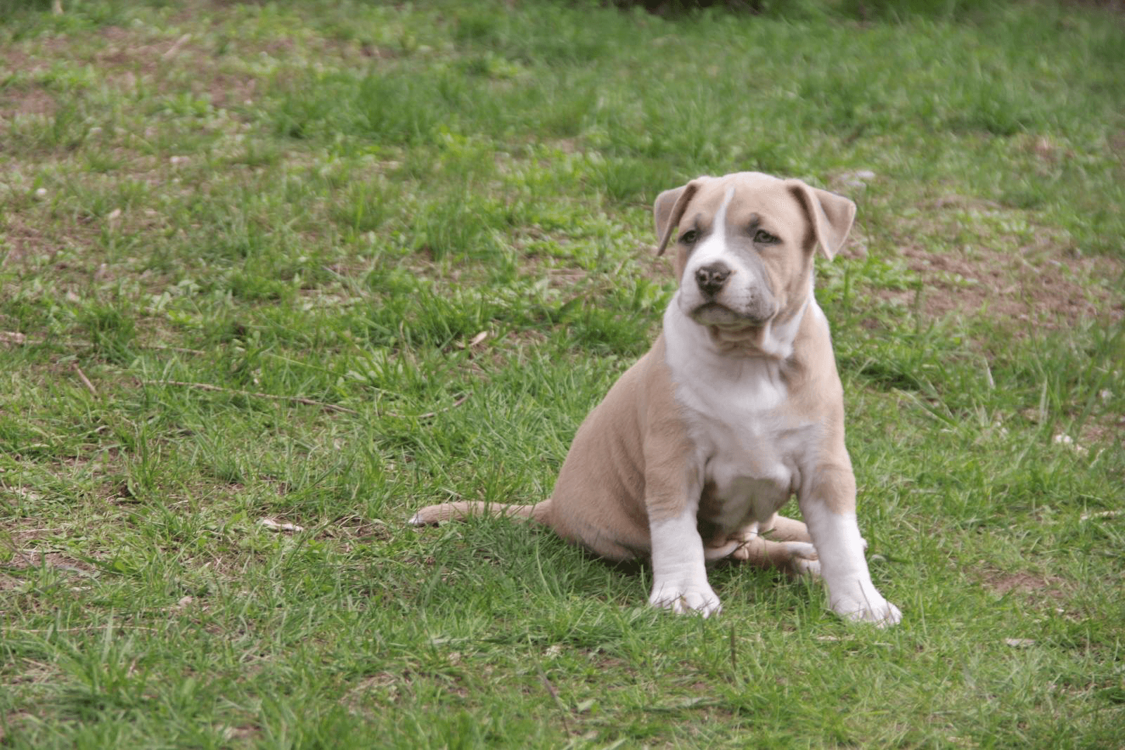 carousel-image-mobile-2