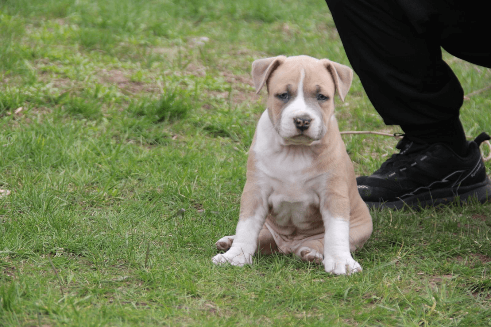 carousel-image-mobile-3