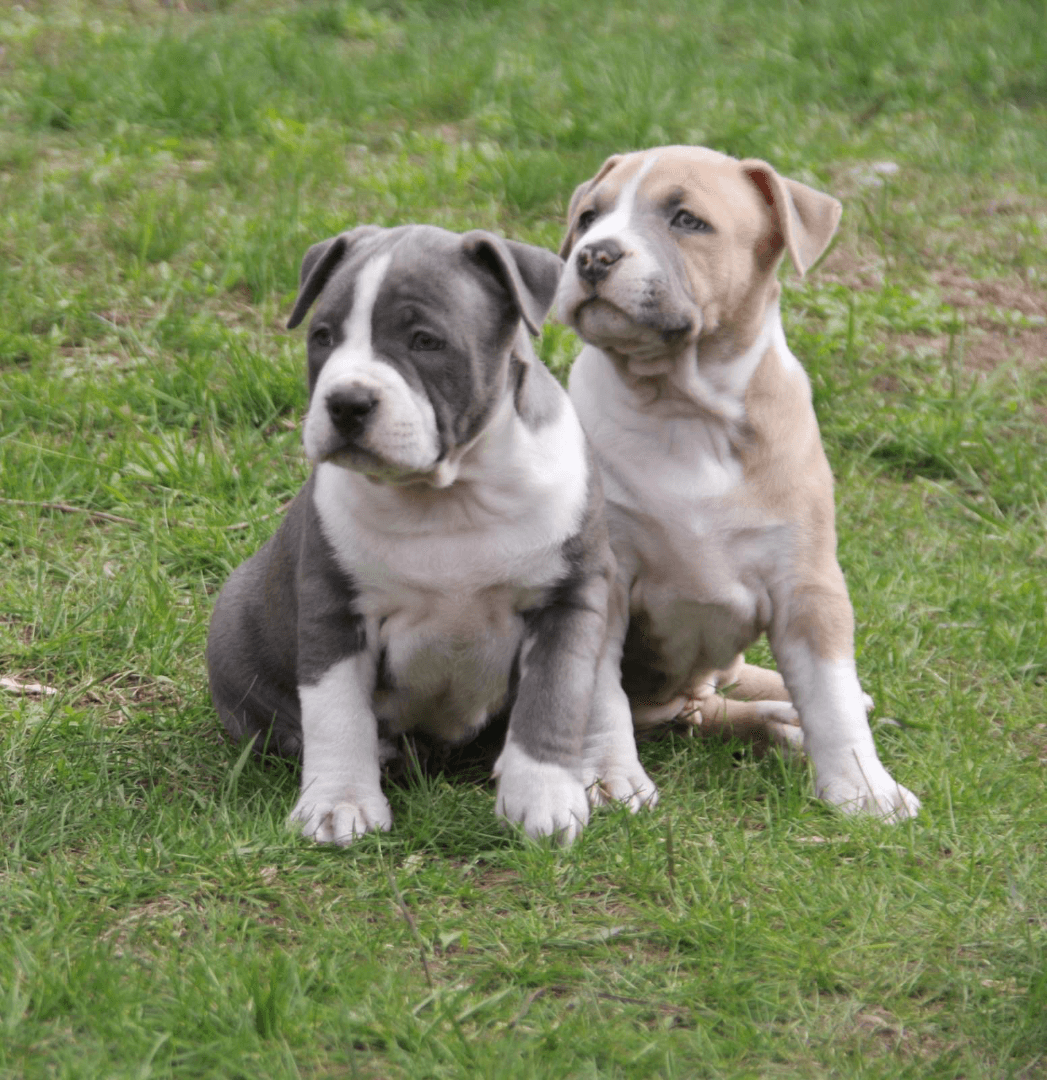 carousel-image-mobile-4