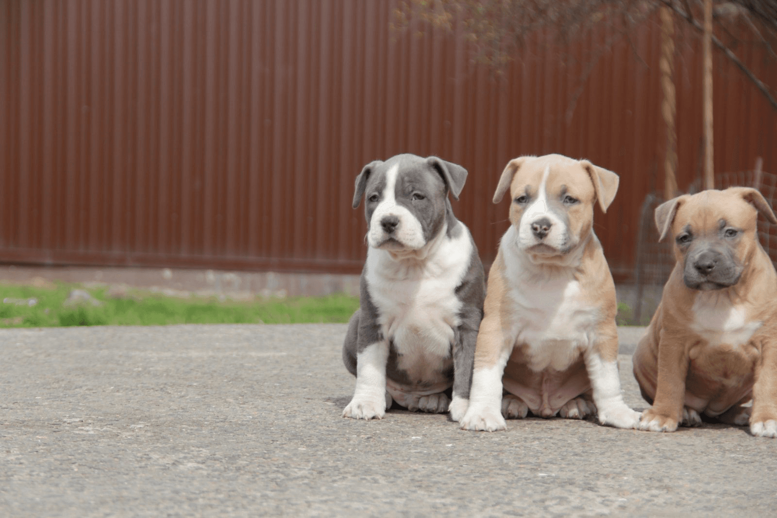 carousel-image-mobile-7