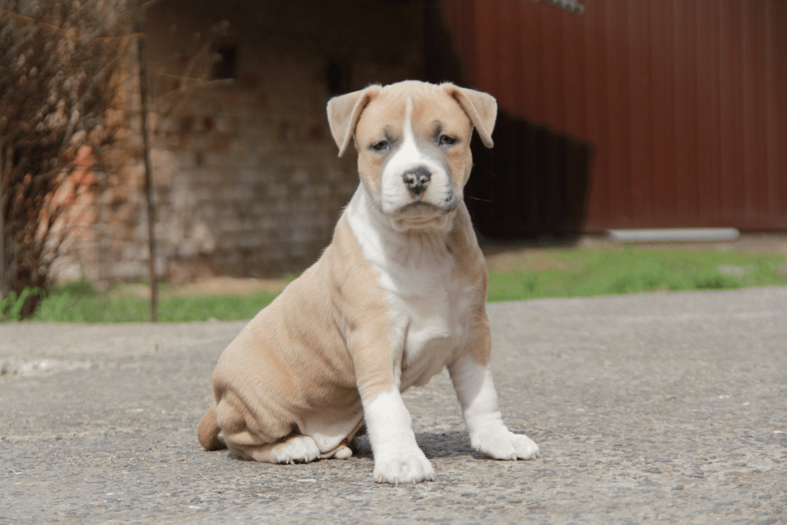 carousel-image-mobile-1