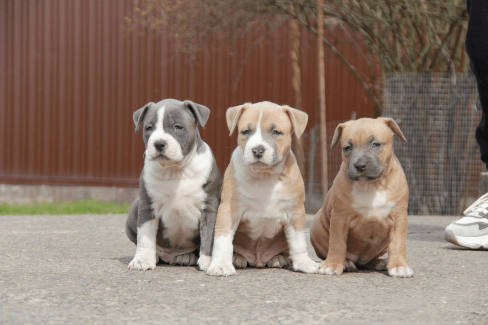 carousel-image-mobile-5